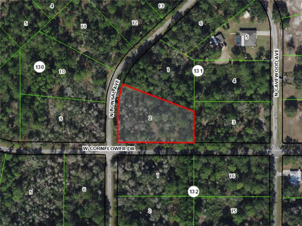 Photo of 9474 N Bonsai Avenue, Crystal River, FL 34428 (MLS # W7882778)