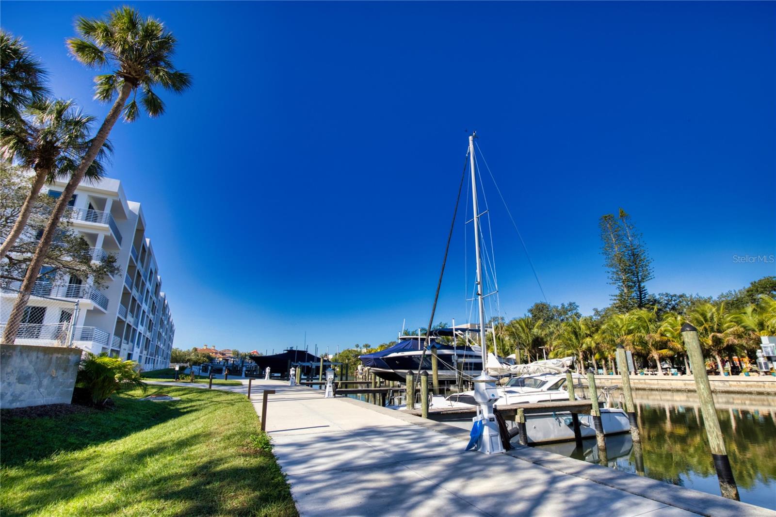 1703 N TAMIAMI TRAIL 203