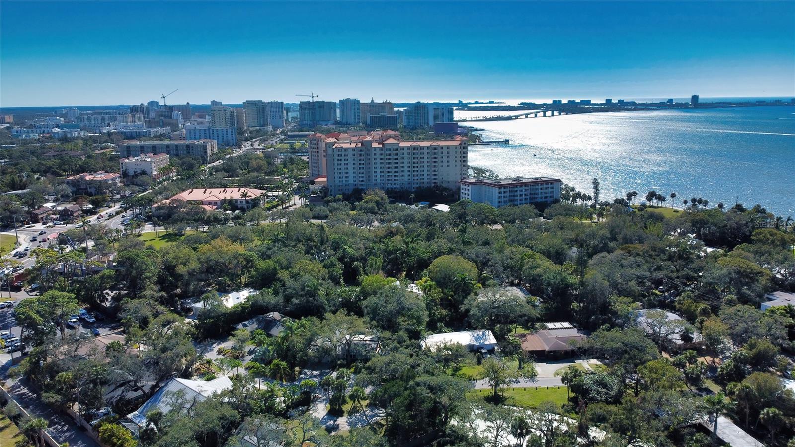 1703 N TAMIAMI TRAIL 203