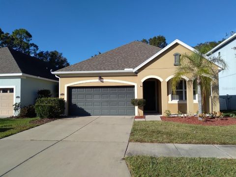 Photo of 11514 Quiet Forest Drive, Tampa, FL 33635 (MLS # TB8513915)
