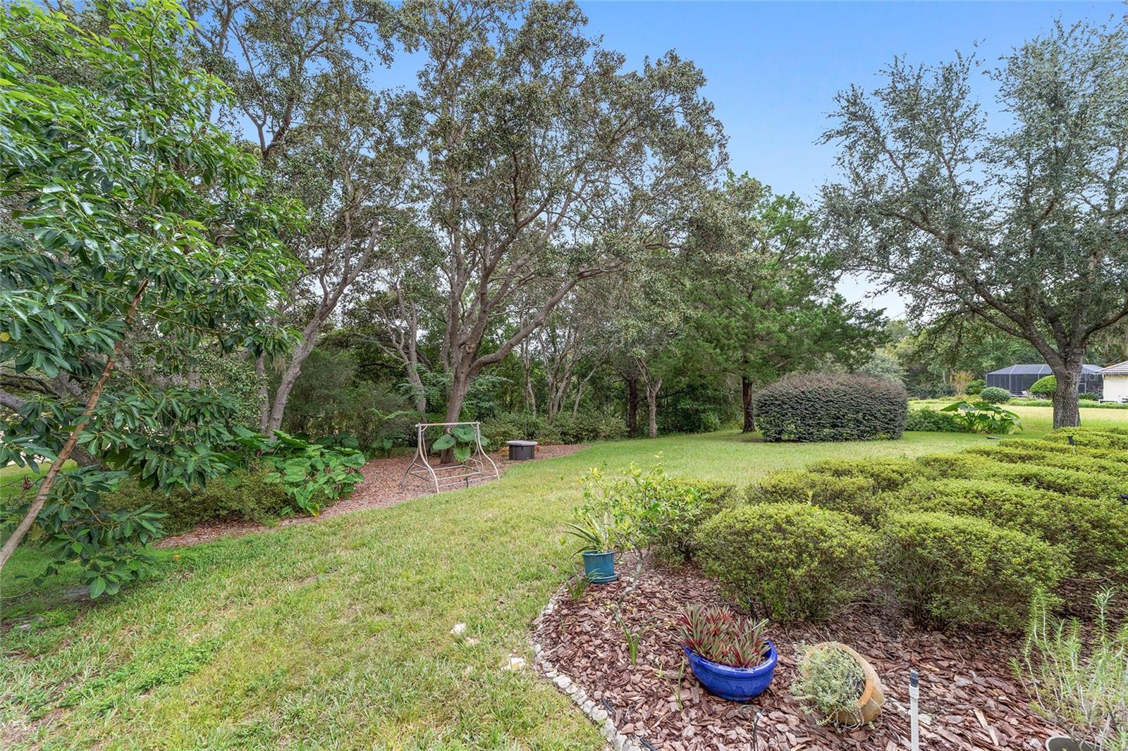 BLACK DIAMOND RANCH - Residential