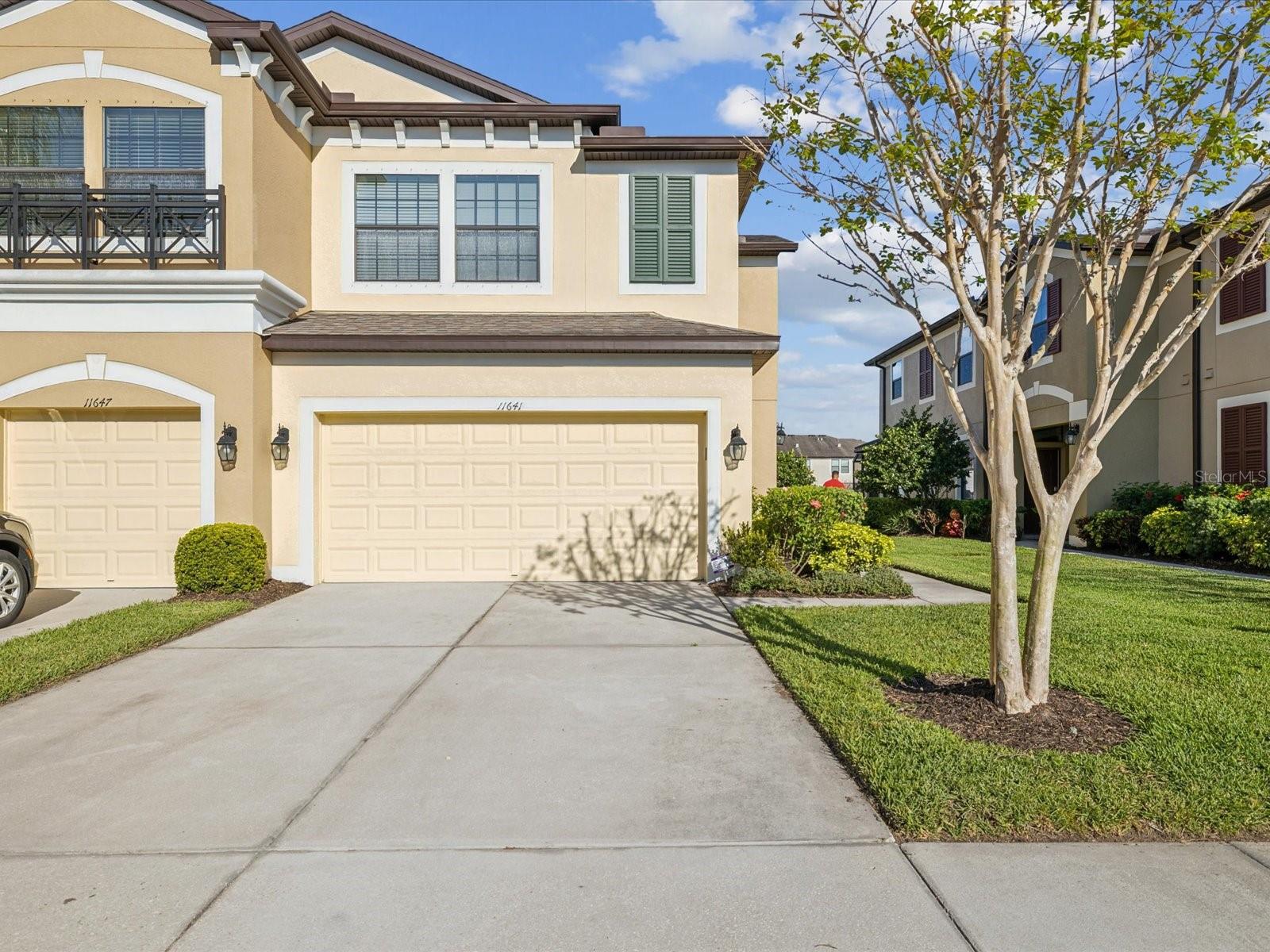 11641 CROWNED SPARROW LANE