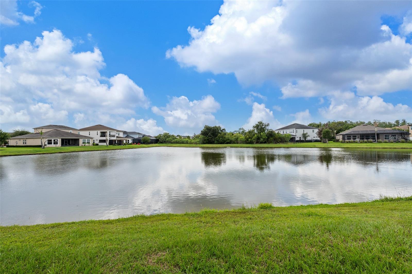 WATERGRASS PCLS D2-D4 - Residential