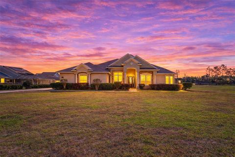 Photo of 1890 E F Griffin Road, Bartow, FL 33830 (MLS # P4938279)