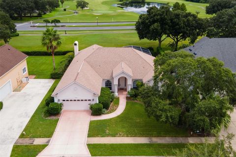 A home in MOUNT DORA