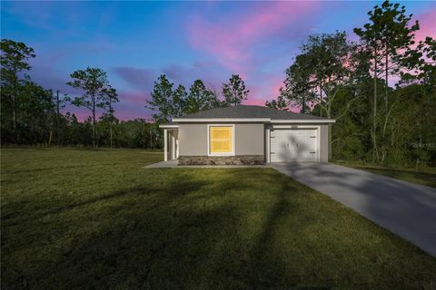 Tiny photo for 15701 NE 10th Street, Williston, FL 32696 (MLS # OM715642)