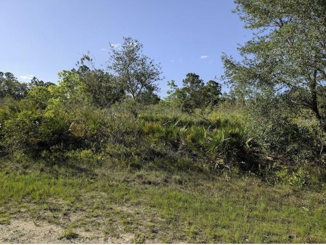 INDIAN LAKE ESTATES - Land