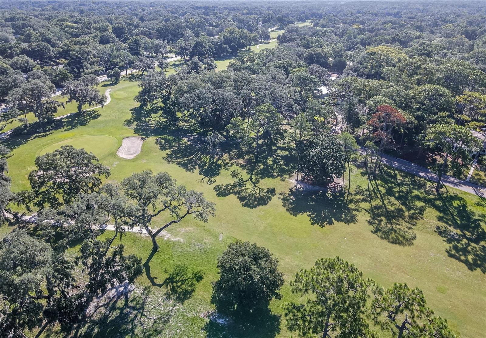 TEMPLE TERRACE ESTATES - Residential