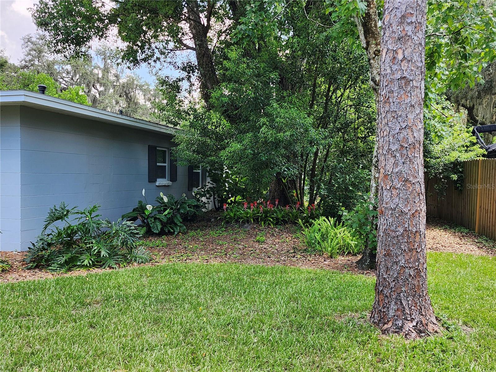 TEMPLE TERRACE ESTATES - Residential