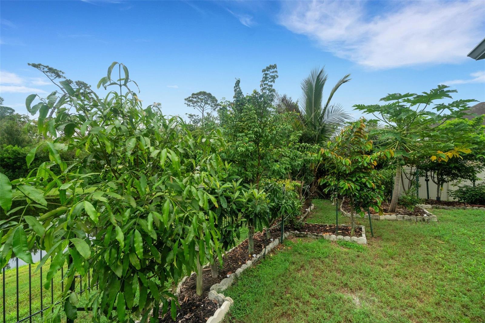 VISTA LKS/BAILEYS BLUFF - Residential