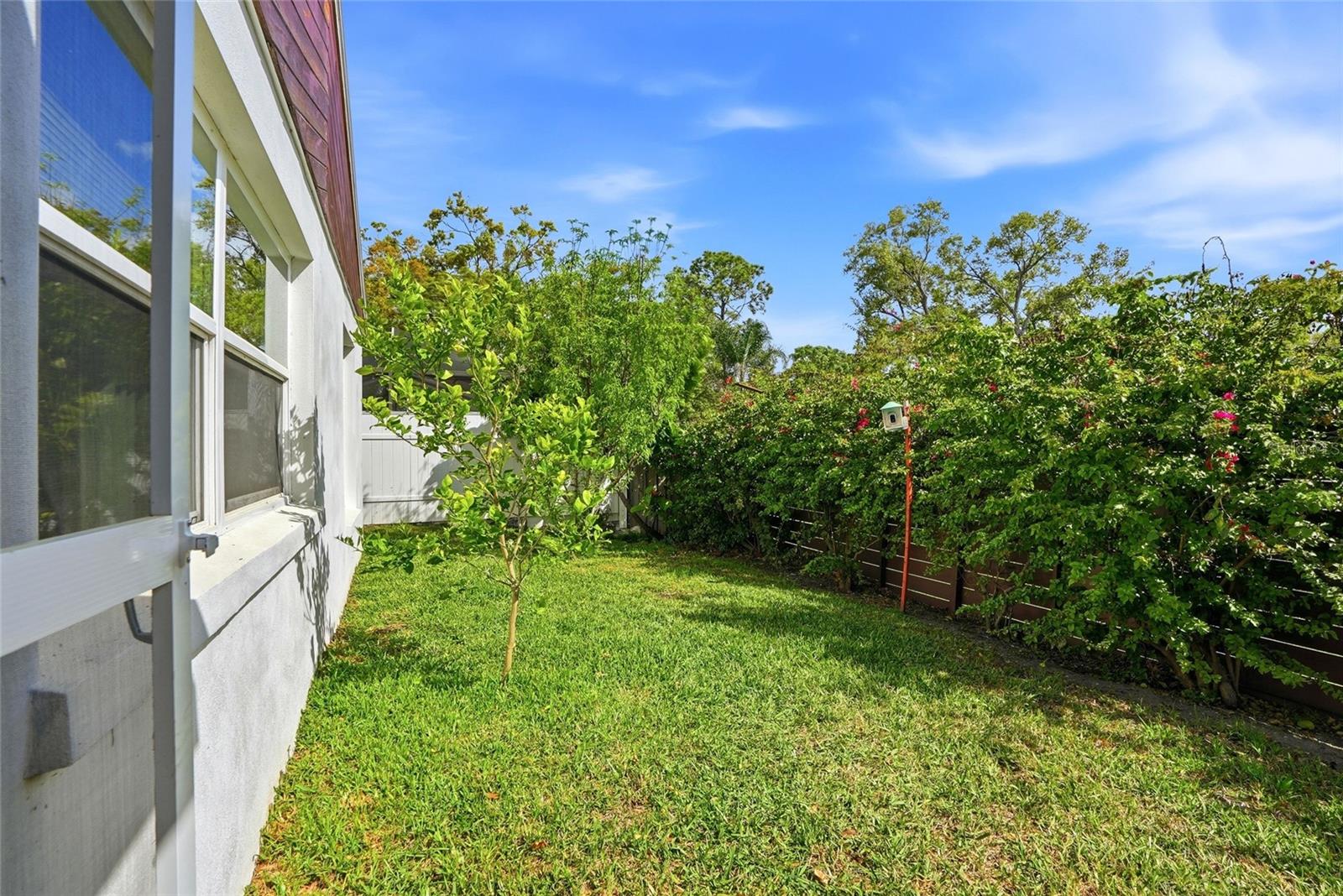 TROPICAL PINES - Residential