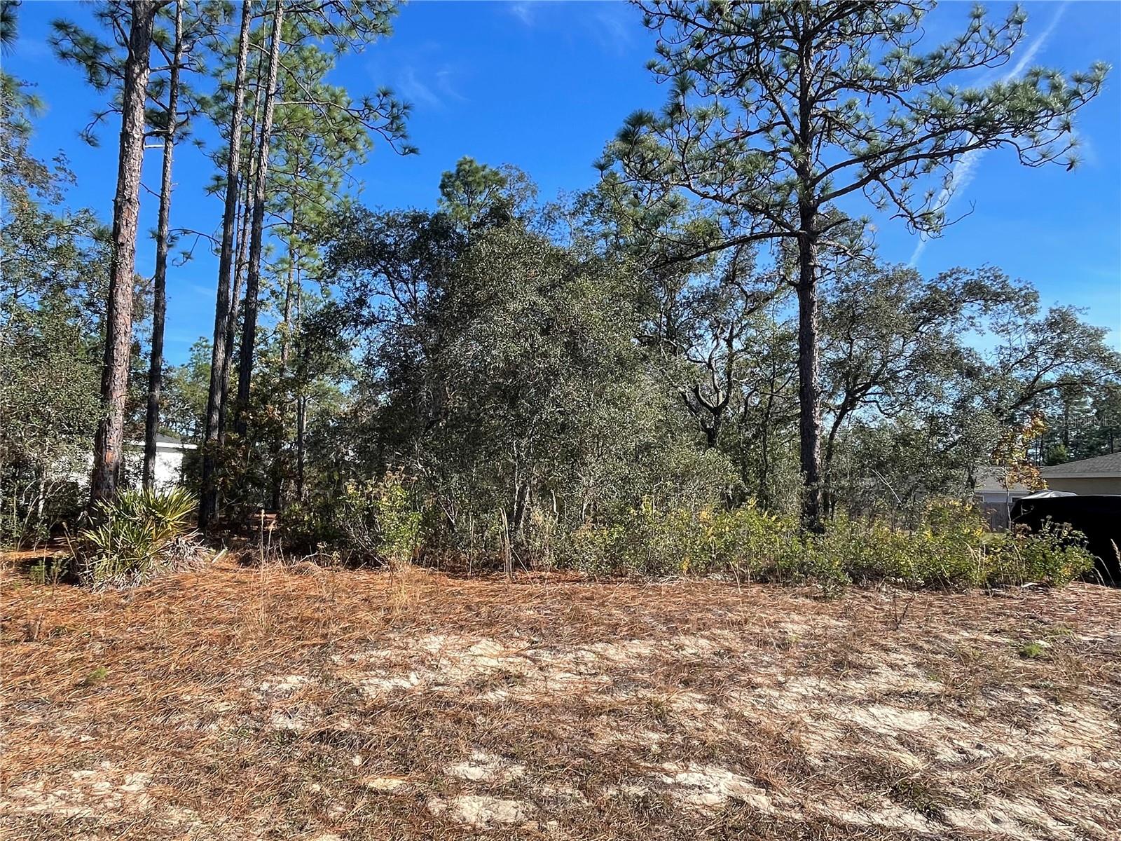 CITRUS SPRINGS UNIT 21 - Land