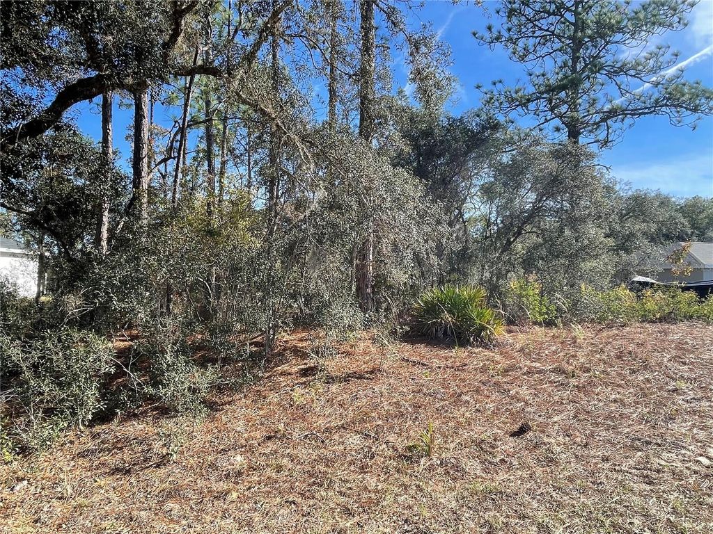 Photo of 11475 N Kenney Loop, Dunnellon, FL 34433 (MLS # OM714921)