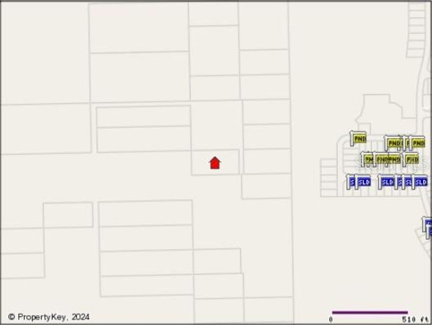 EARLY BIRD SPECIAL. Vacant undeveloped land in a booming area in davenport, close to I-4, US-27, Disney, Shopping, and Hospital. Landlocked track.