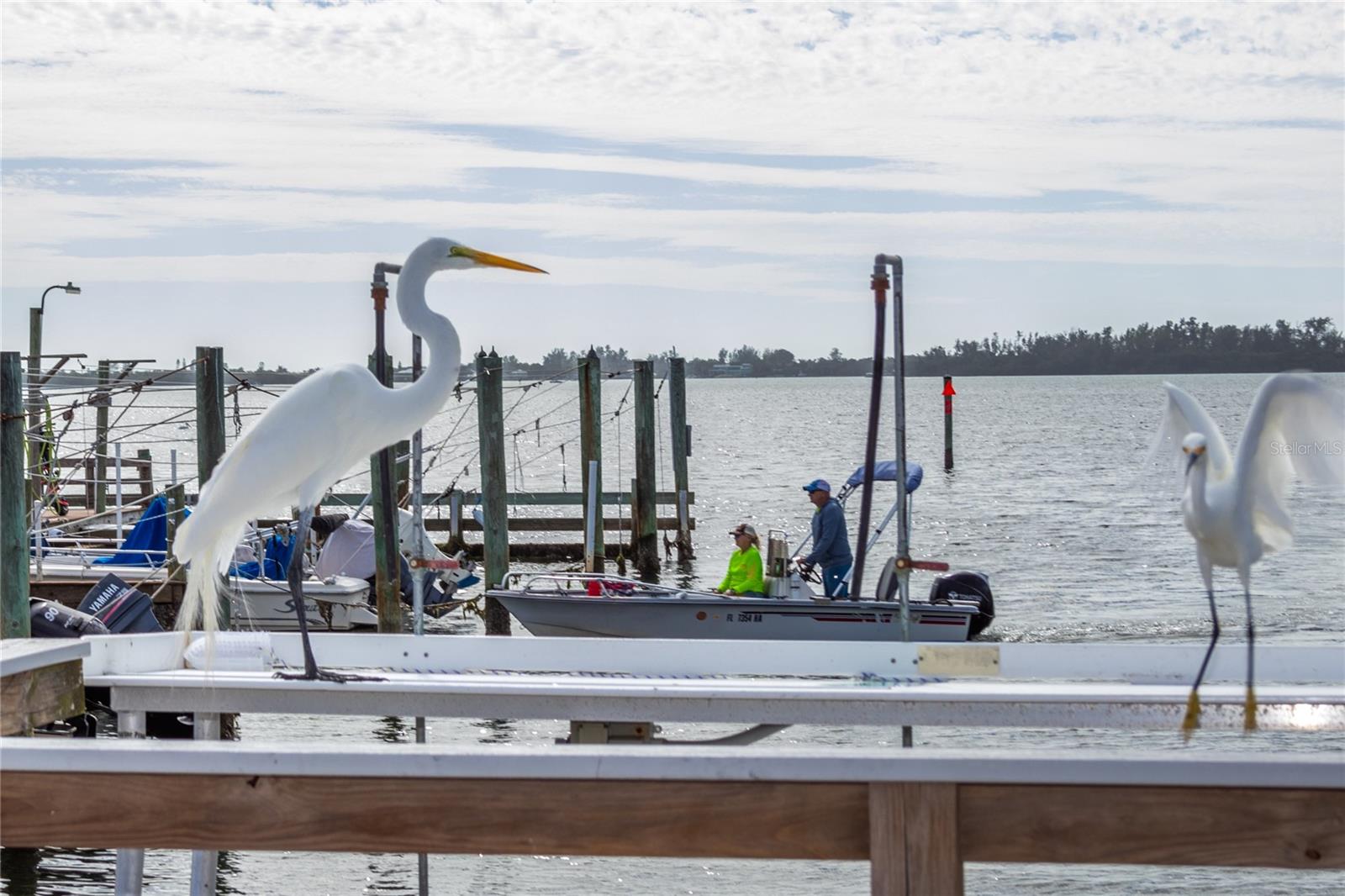 PARADISE BAY ESTATES CO-OP - Land