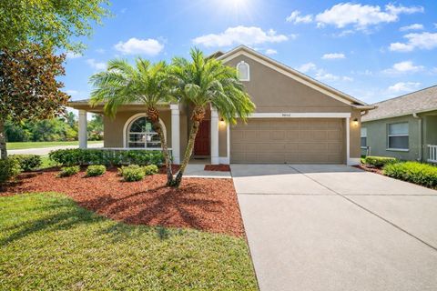 Photo of 30142 Sotogrande Loop, Wesley Chapel, FL 33543 (MLS # TB8491575)