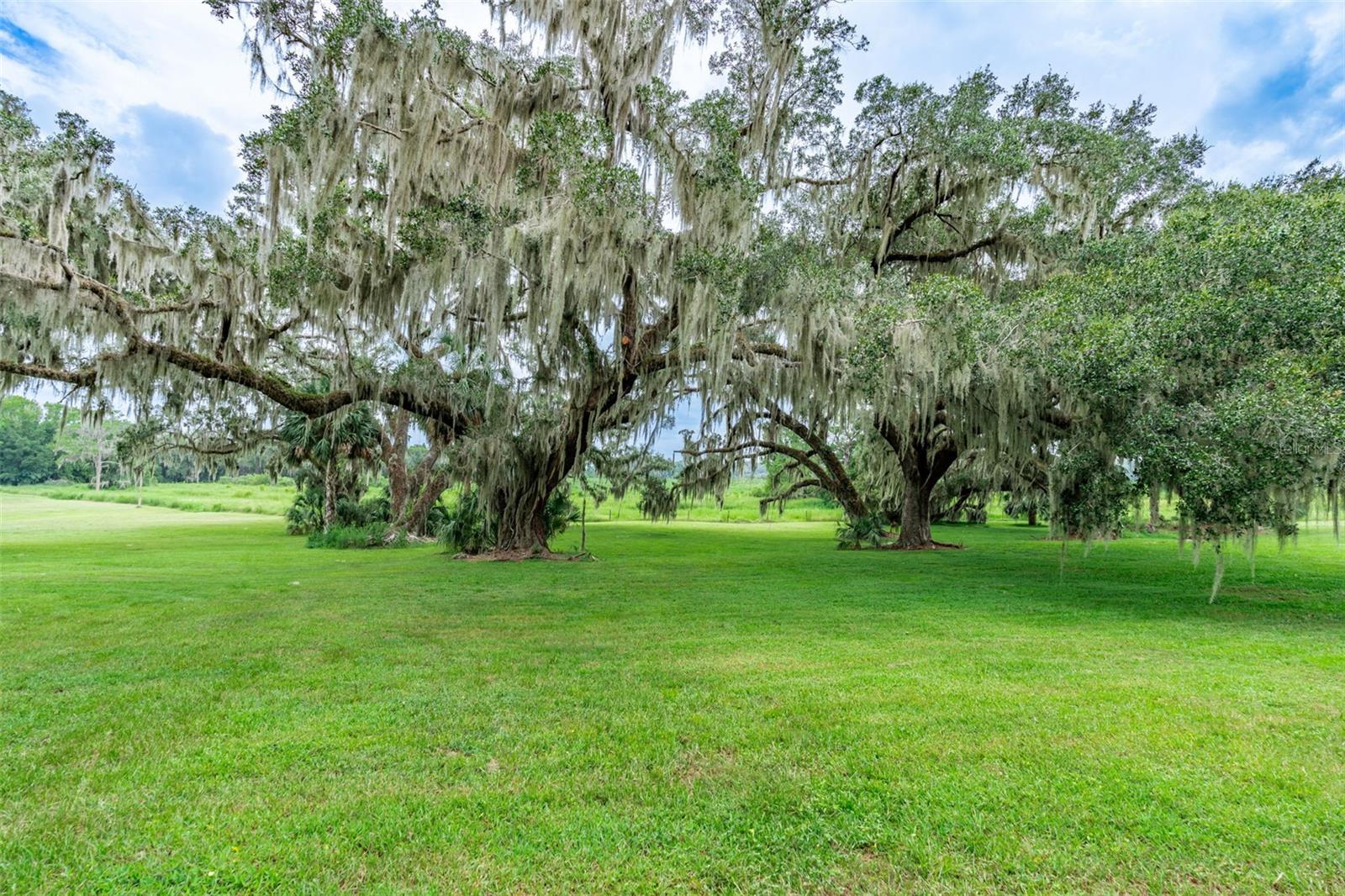 SAVANNA POINTE PH 2 - Land