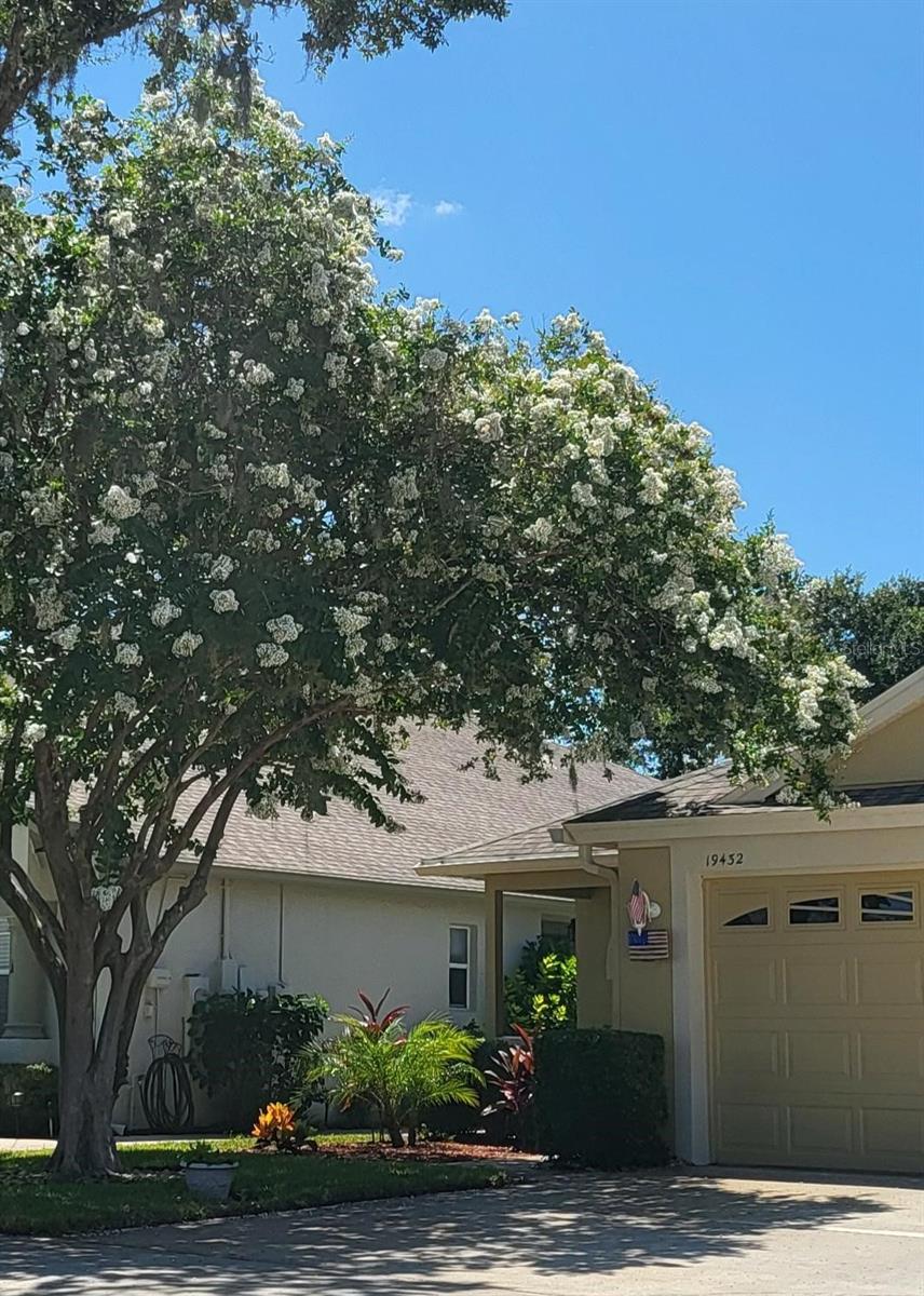 19432 HASKELL PLACE