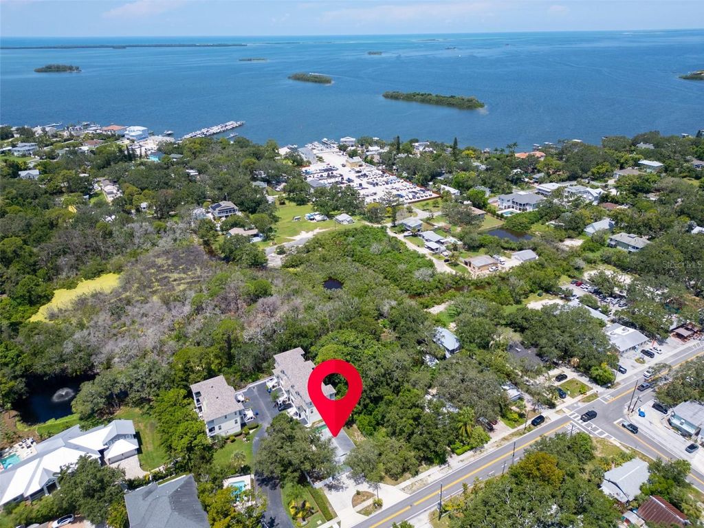 Photo of 289 Orange Street, Palm Harbor, FL 34683 (MLS # TB8413970)