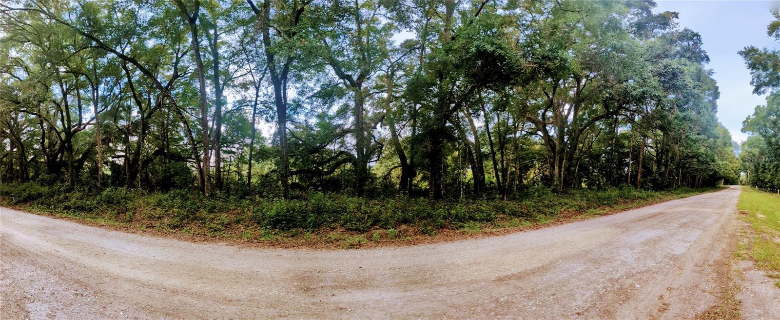 MARCHANT MEADOWS - Land