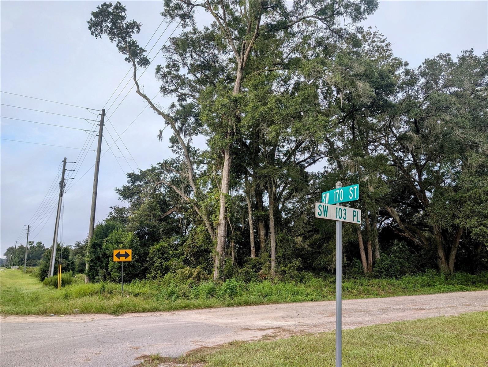 MARCHANT MEADOWS - Land