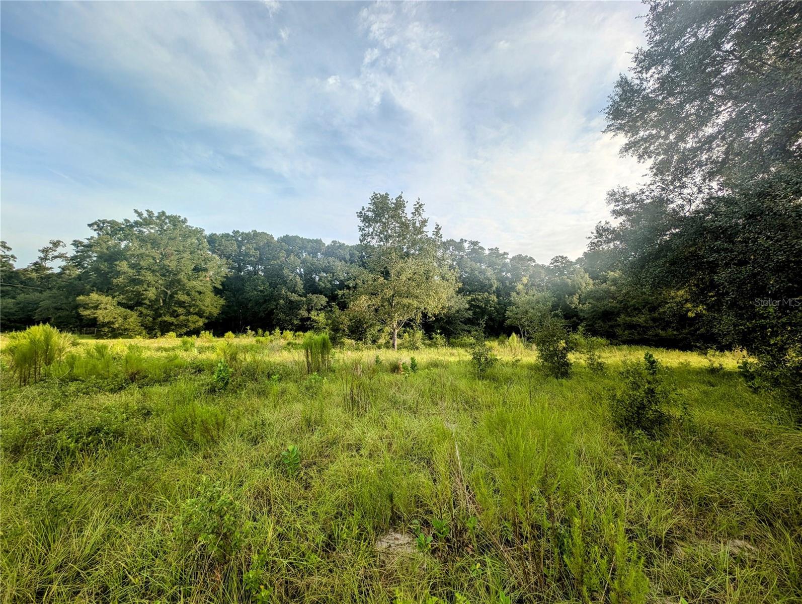 MARCHANT MEADOWS - Land