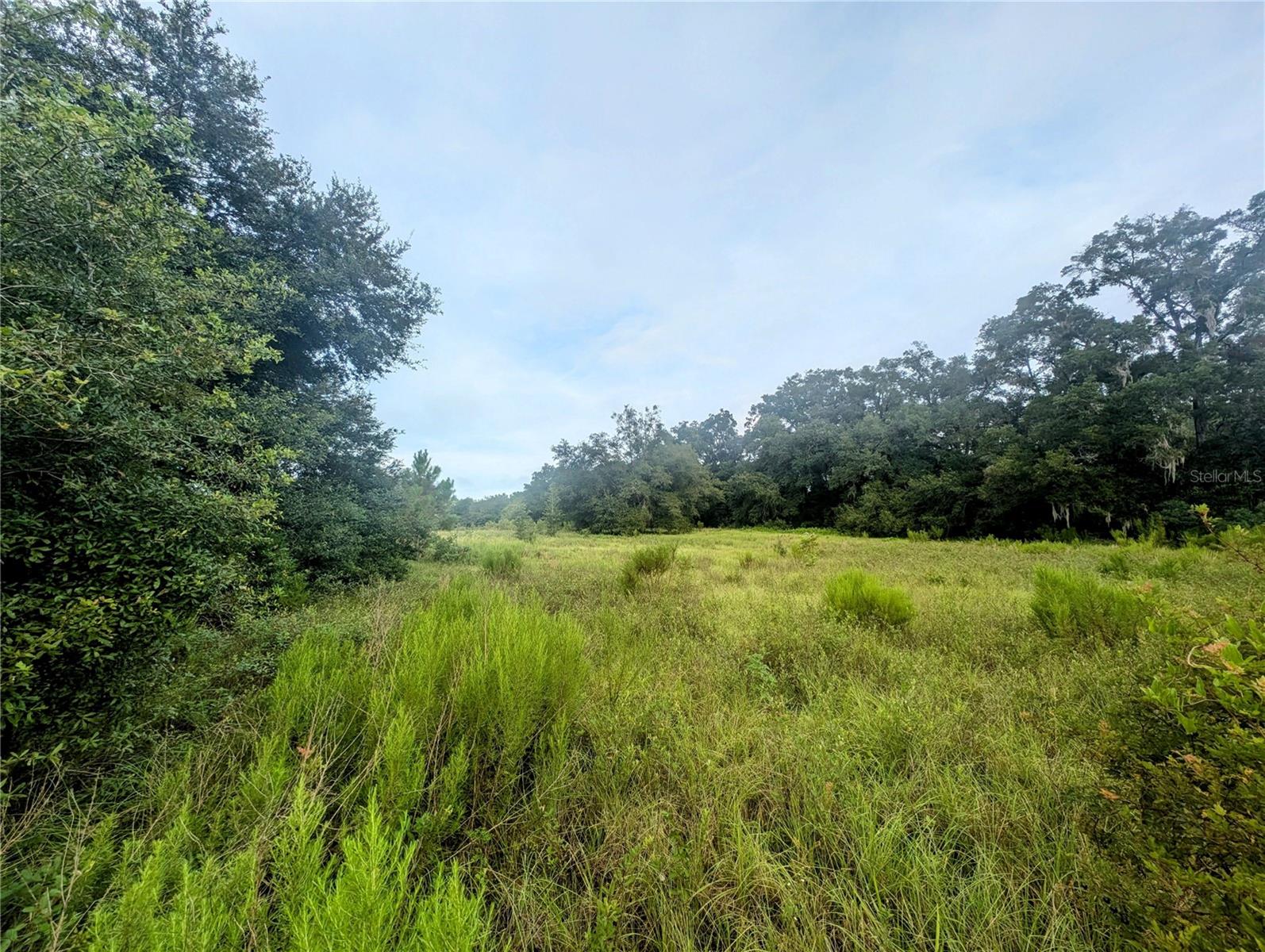 MARCHANT MEADOWS - Land