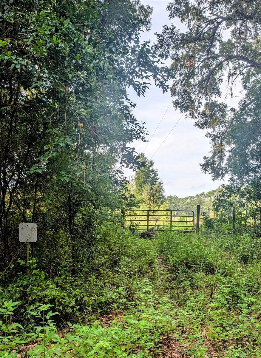 MARCHANT MEADOWS - Land