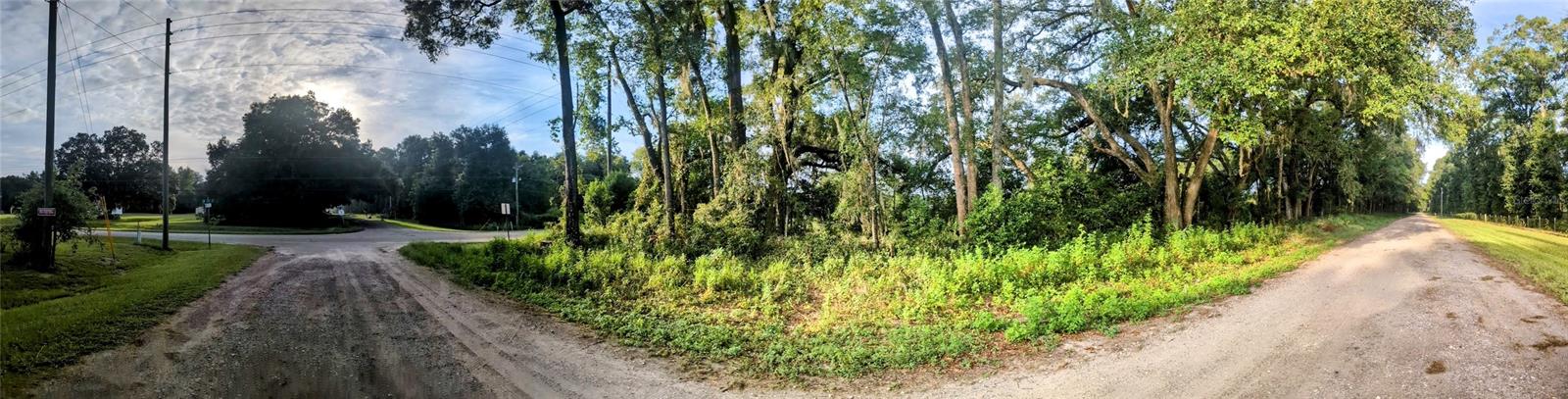 MARCHANT MEADOWS - Land