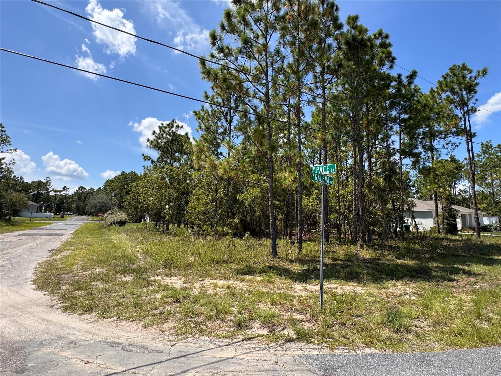 This 0.27-acre level homesite in Citrus Springs is zoned for single-family residential use, with public water and power available at the street (septic required). The lot offers a peaceful setting within a growing neighborhood, just a short distance from the Citrus Springs Community Center. Outdoor recreation is close at hand with the Withlacoochee State Trail – South Citrus Springs Trailhead only 5 minutes away, providing 46 miles of paved trail for biking, walking, and skating. Within a 10–15 minute drive, you’ll find the nearby towns of Beverly Hills and Hernando, offering shopping, dining, golfing, and access to the beautiful Tsala Apopka chain of lakes. A great opportunity to build in a convenient location surrounded by natural Florida beauty and community amenities.