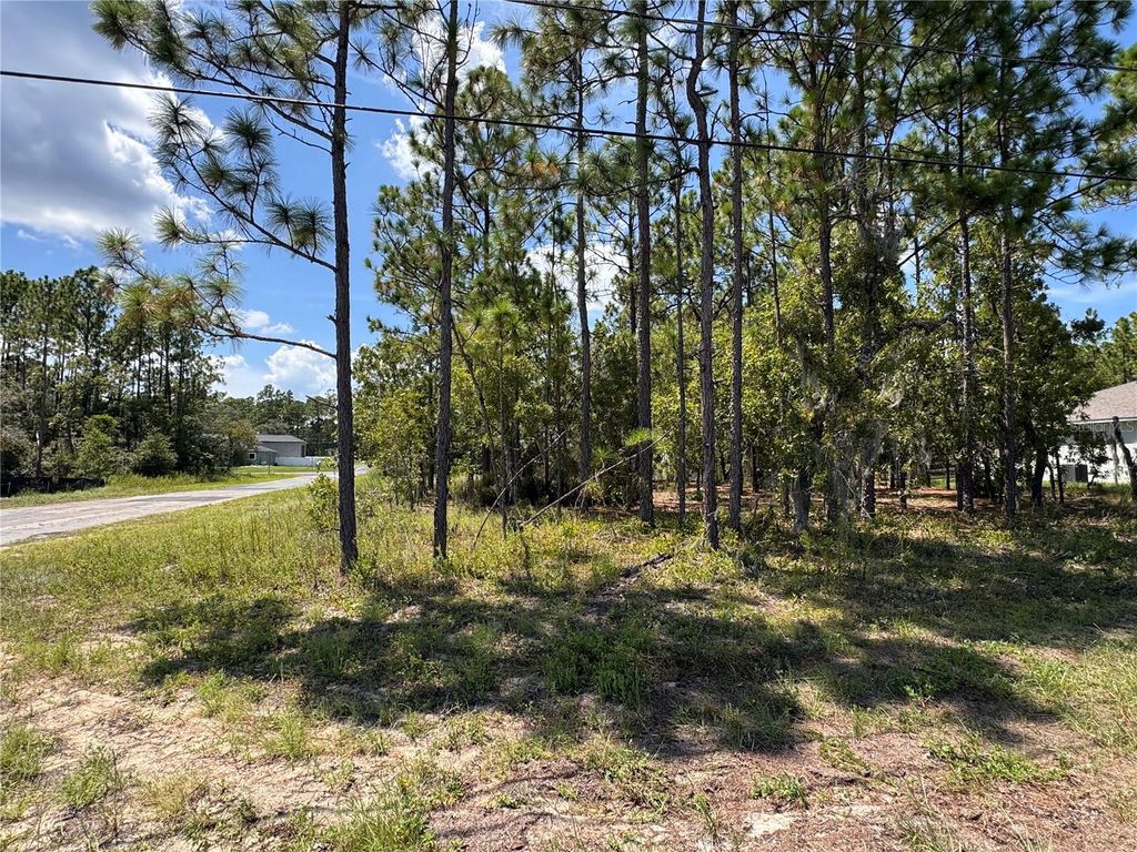 Photo of 7722 N Galena Avenue, Citrus Springs, FL 34434 (MLS # OM707956)