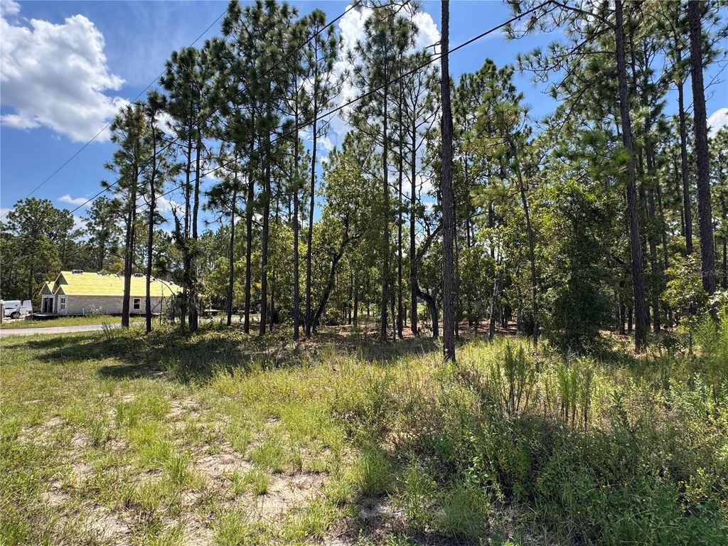 Photo of 7722 N Galena Avenue, Citrus Springs, FL 34434 (MLS # OM707956)