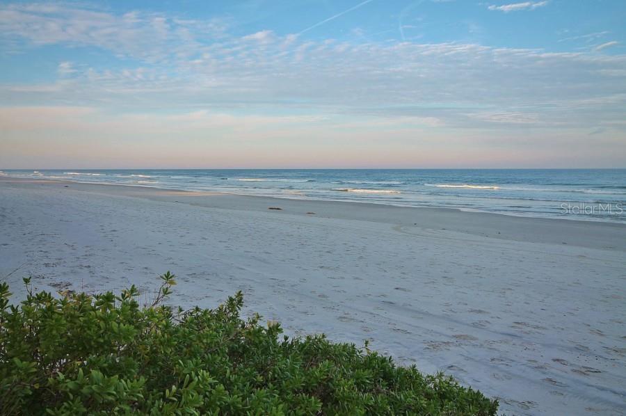 OCEANIA PLAZA CONDO - Residential Lease