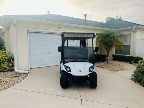 1087 JACKSON STREET THE VILLAGES FL 32162