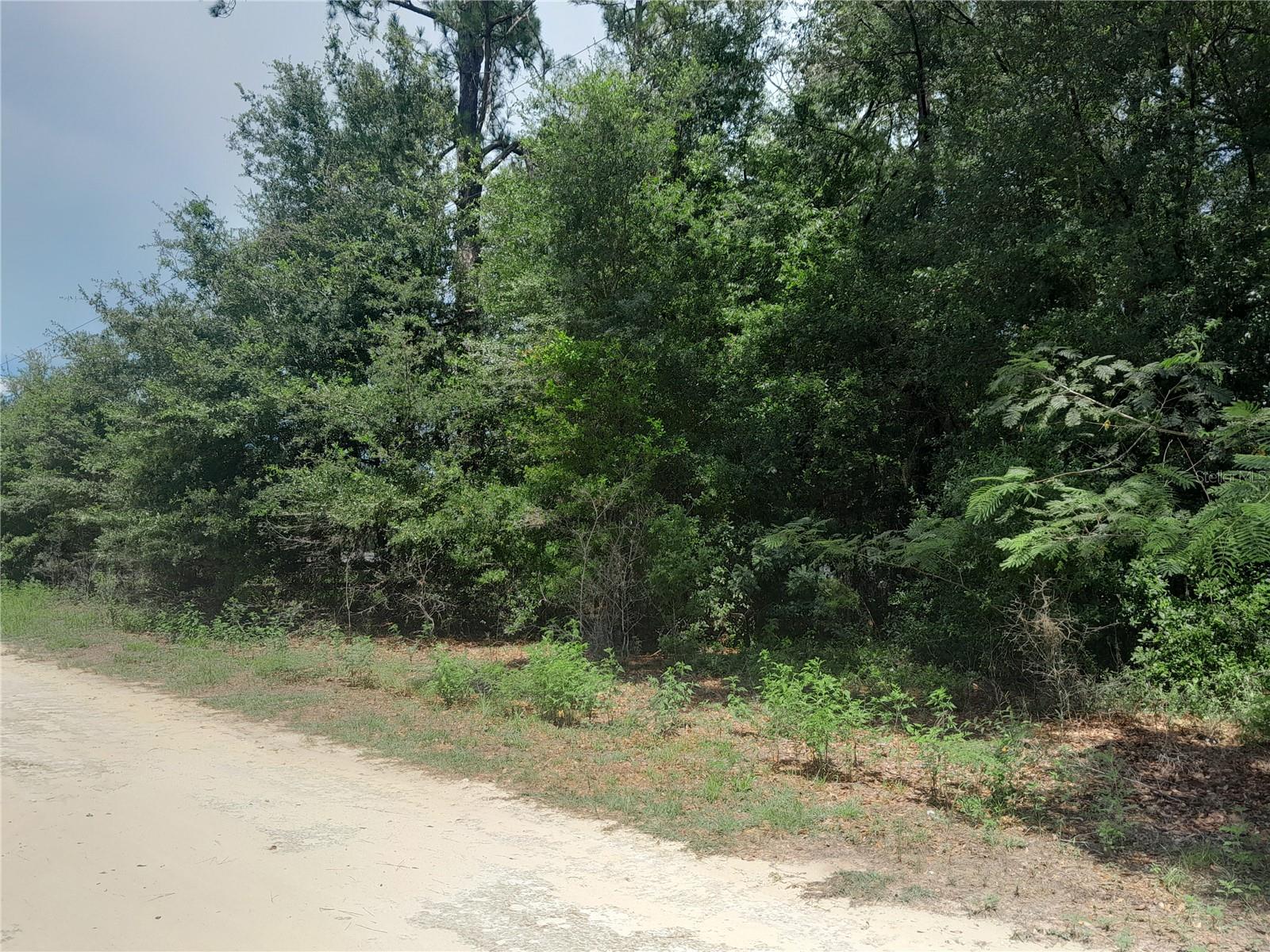 FORESTRY/RURAL RESIDENTIAL .3 ACRE LOT A little over a .25 acre, perfect for a site built home or a manufactured home. Corner lot with electric right there on the corner, on a limestone road. High and dry, no HOA and no flood zone! With in 30 minutes to HITS and WEC for horse events. Also right down the street on 337 to Black Prong for horse events, pool, RV sites, restaurant and cabins. It's great to live in the country with the calmness and serenity. Measurements taken from property appraiser site.