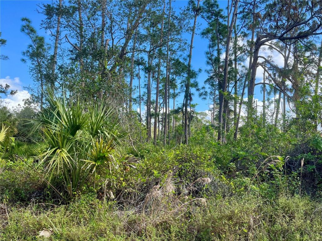 Photo of 4134 Winona Street, Port Charlotte, FL 33948 (MLS # C7502749)