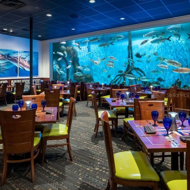 JACARANDA BEACH VILLAS CONDO - Residential