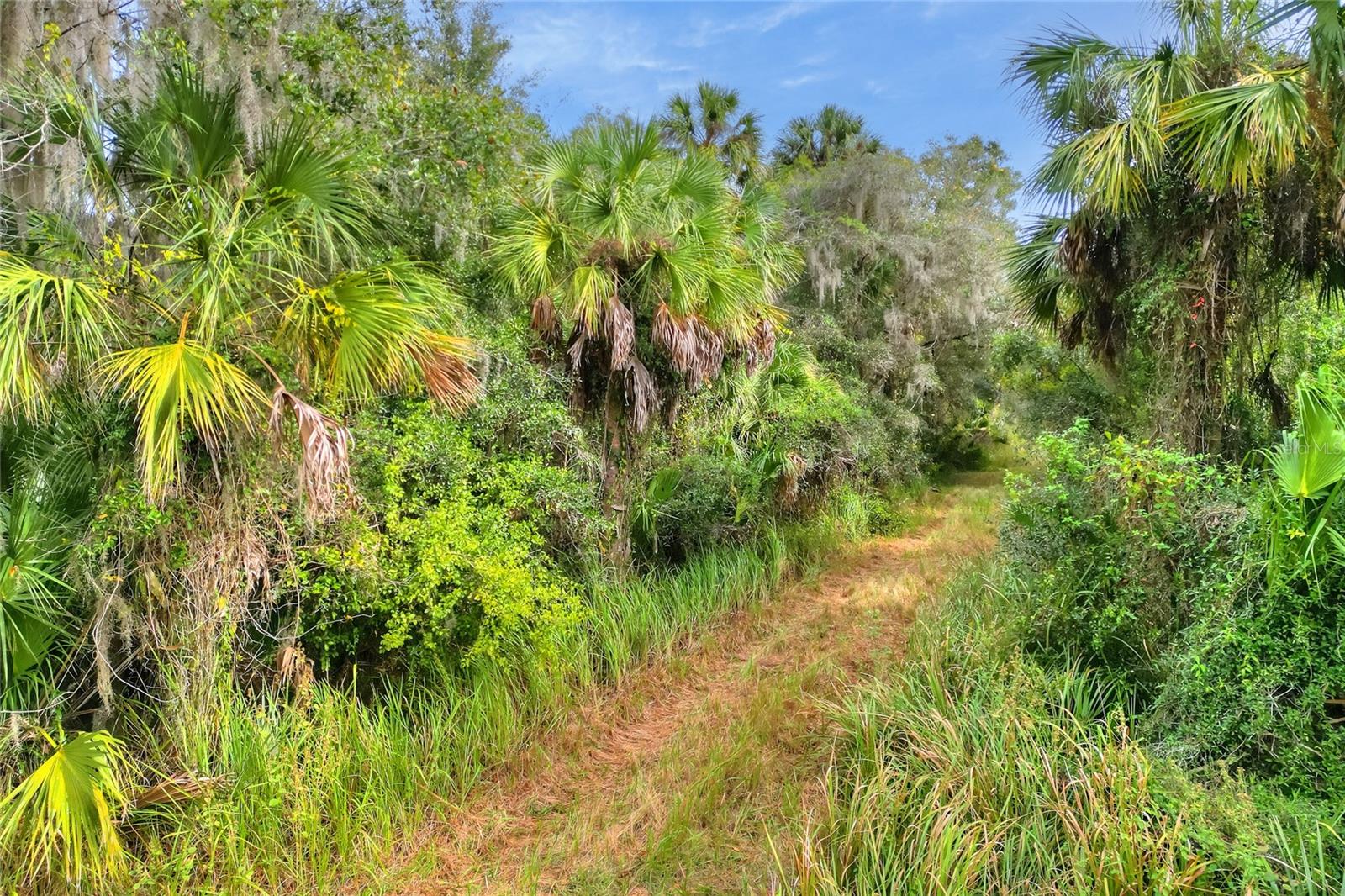 0 KEYSVILLE ROAD
