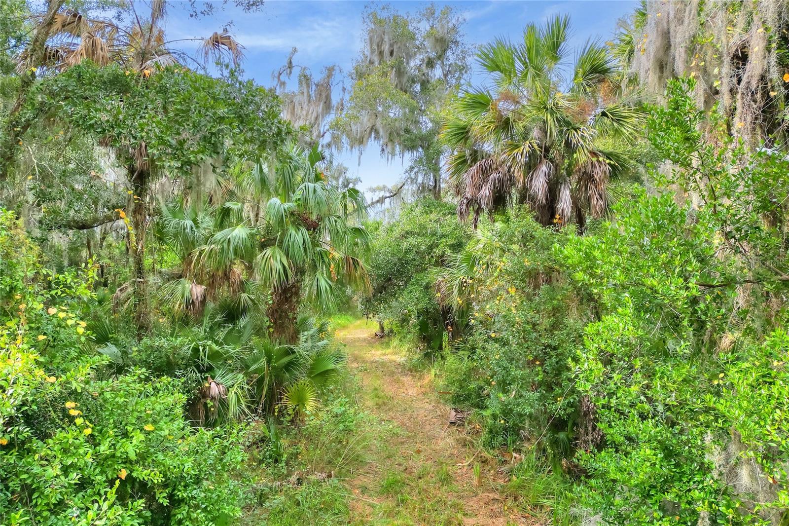 0 KEYSVILLE ROAD