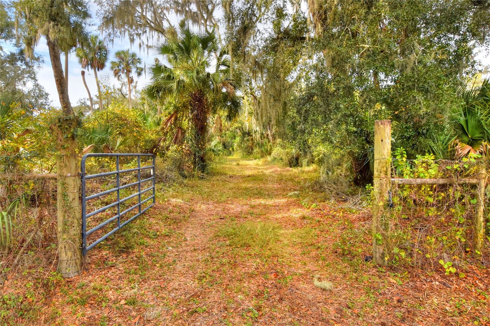 RURAL HOMESTEAD! LOT 1 - 10.29 Acres with well - ADJOINGING LAND ALSO AVAILABLE. This secluded parcel is home to a wide variety of trees and vegetation - creating the perfect hidden retreat. With the combination of dense foliage and small clearings, it is an ideal place for wildlife, recreational activities and your dream home. Less than 20 minutes from Brandon, Lakeland and Plant City, the location offers convenient access to shopping, dining and businesses, yet feels perfectly private in rural Lithia. With no HOA or restrictions, bring your animals and all the outdoor fun to embrace the country lifestyle.