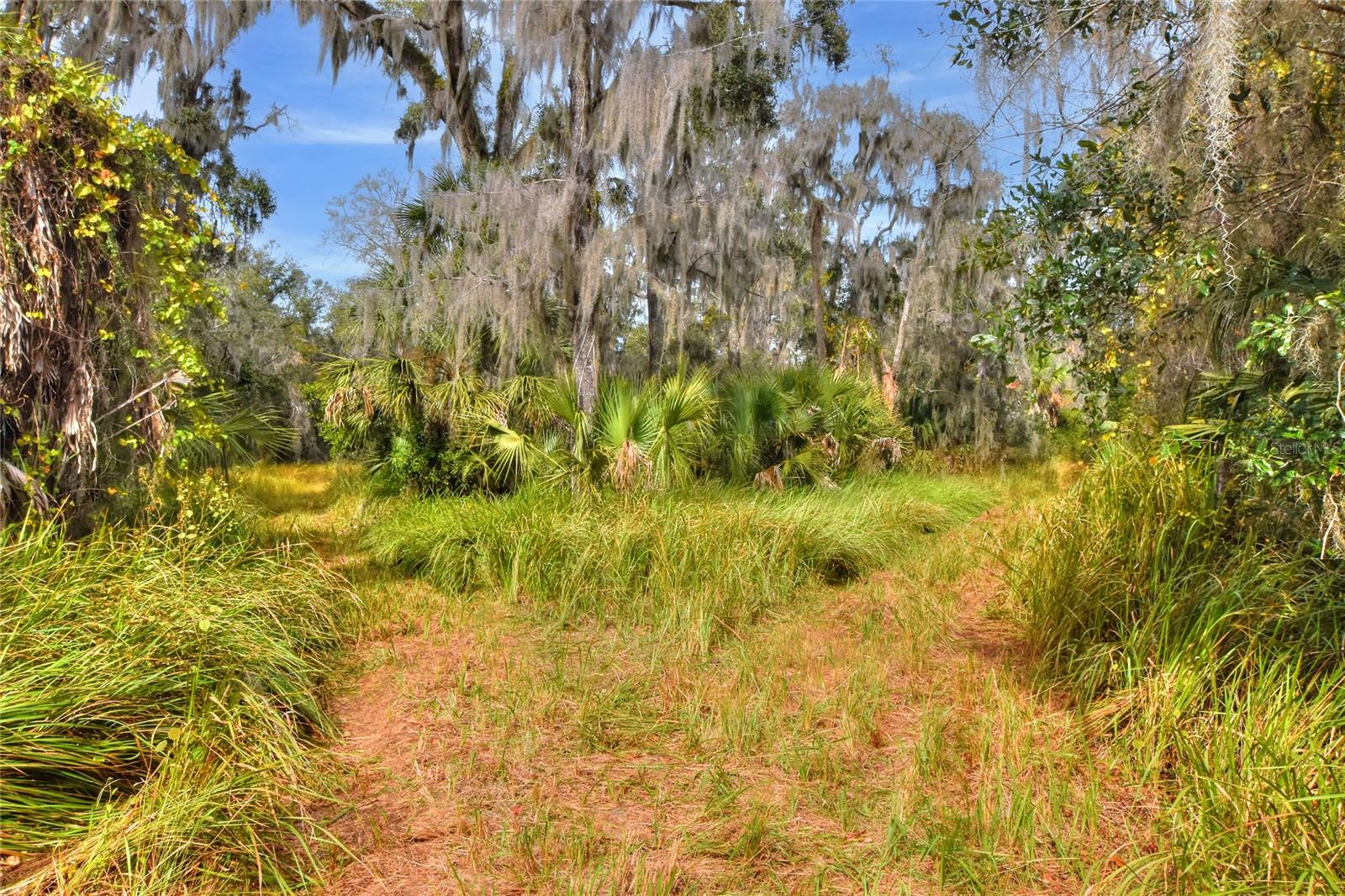 0 KEYSVILLE ROAD