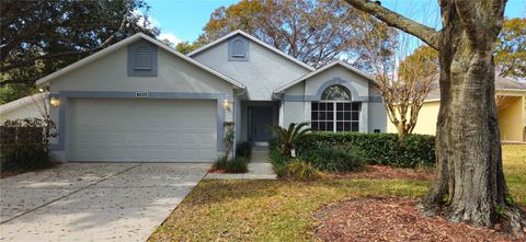3904 WESTERHAM DRIVE CLERMONT FL 34711