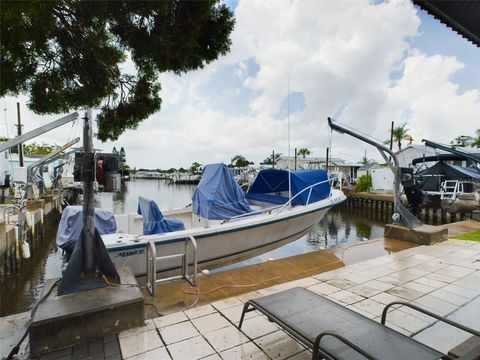 A home in PALM HARBOR