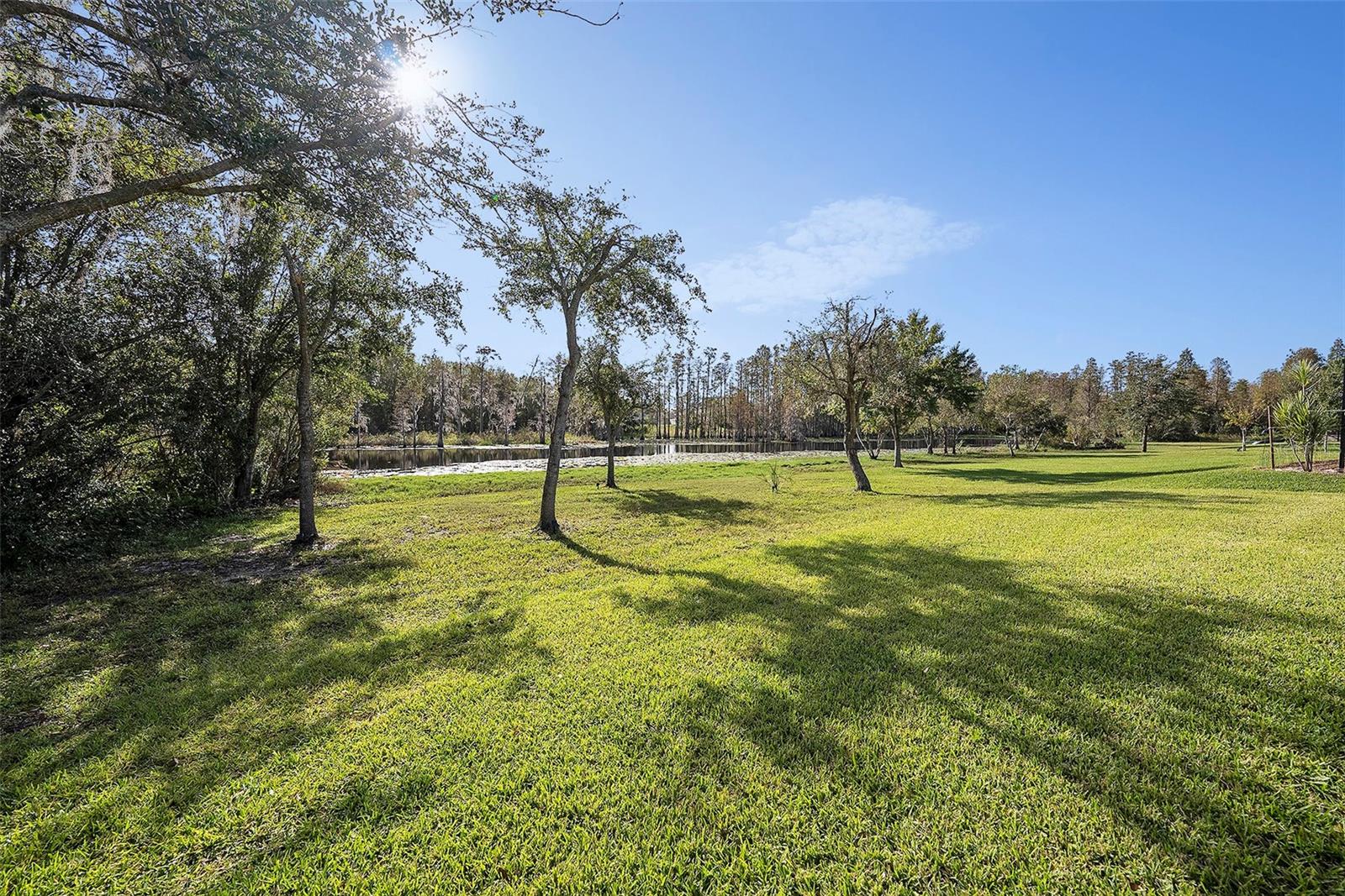 PRESERVATION OF PASCO COUNTY - Residential