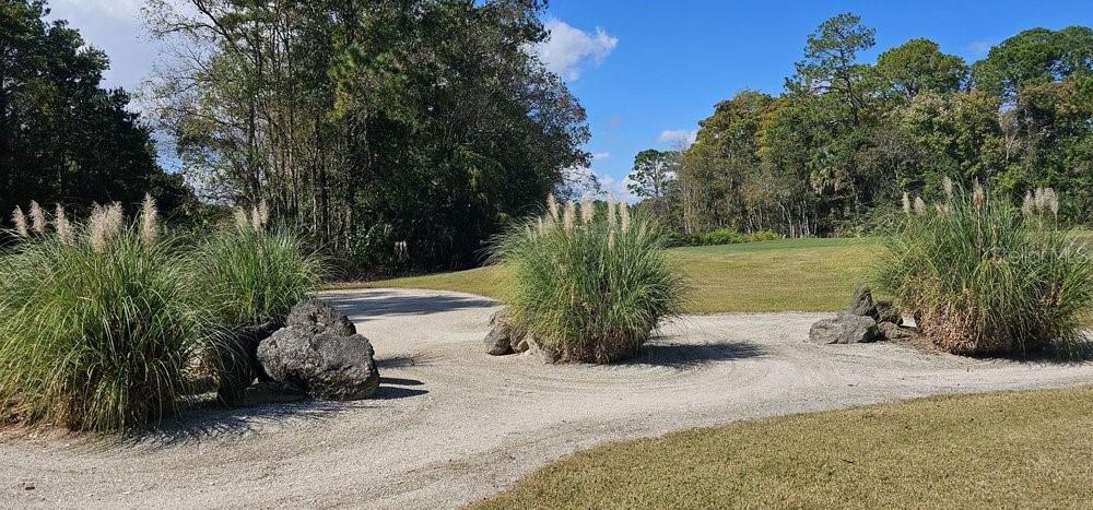 OXFORD/ROYAL ST AUGUSTINE GOLF - Residential