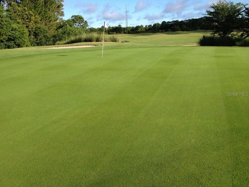 OXFORD/ROYAL ST AUGUSTINE GOLF - Residential