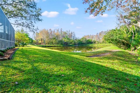 A home in LAND O LAKES