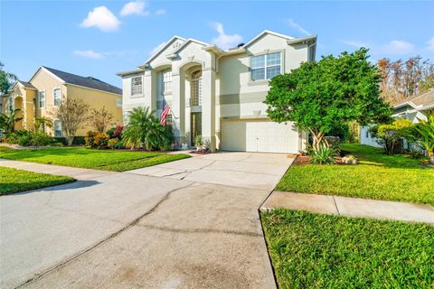 A home in LAND O LAKES