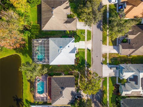 A home in LAND O LAKES