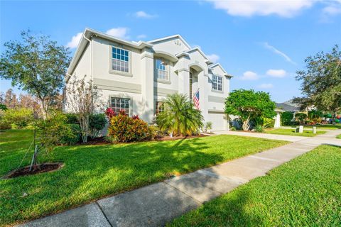 A home in LAND O LAKES